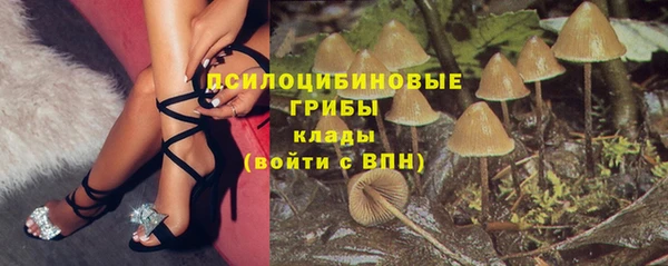 спайс Магас
